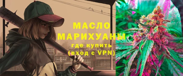 крисы Слюдянка