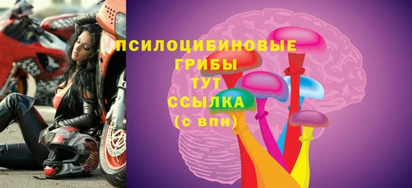 ECSTASY Алексин