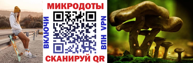 это официальный сайт Жирновск Галлюциногенные грибы мицелий